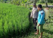 Bhabinkamtibmas Dorong Ketahanan Pangan di Montong Are, Lombok Barat