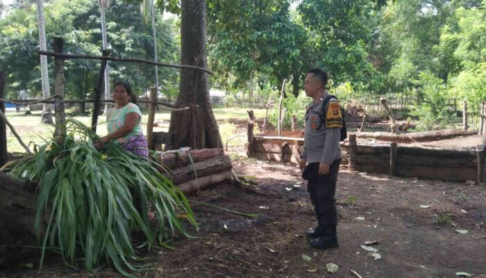 Ketahanan Pangan Dimulai dari Pekarangan: Inisiatif Polri di Batulayar Barat