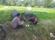 Polres Lombok Barat Dukung Petani Wujudkan Ketahanan Pangan di Lembar