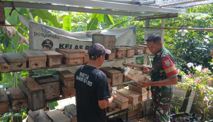 Babinsa Tamansari Dampingi Peternak Madu Trigona di Gunungsari