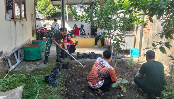 Babinsa Punia dan Lurah Sinergi Tanam Cabai, Wujudkan Lingkungan Hijau dan Mandiri Pangan