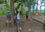 Polsek Lambu Bubarkan dan Bongkar Arena Sabung Ayam di Desa Melayu