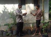 Batulayar Bangkitkan Ketahanan Pangan Lewat Pekarangan Bergizi