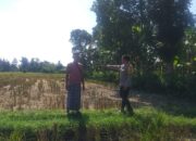 Polri Dorong Ketahanan Pangan dari Pekarangan di Desa Jagaraga, Lombok Barat