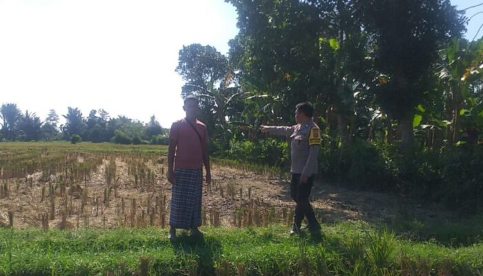 Polri Dorong Ketahanan Pangan dari Pekarangan di Desa Jagaraga, Lombok Barat