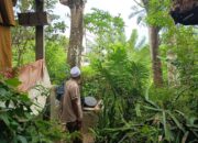 Bhabinkamtibmas Desa Kedaro Dorong Ketahanan Pangan Lewat DDS di Sekotong