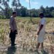 Polri dan Warga Kuripan Bangun Ketahanan Pangan dari Rumah