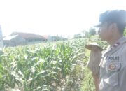 Polsek Labuapi Dorong Ketahanan Pangan Warga Desa Labuapi