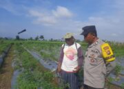 Bhabinkamtibmas Montong Are Aktif Dorong Swasembada Pangan di Kediri, Lombok Barat