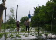 Bhabinkamtibmas Desa Jagaraga Dorong Warga Kuripan Wujudkan Ketahanan Pangan Keluarga