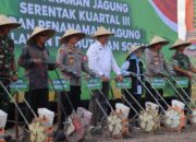 Polda NTB Tanam Jagung Serentak di Desa Babussalam, Dorong Ketahanan Pangan
