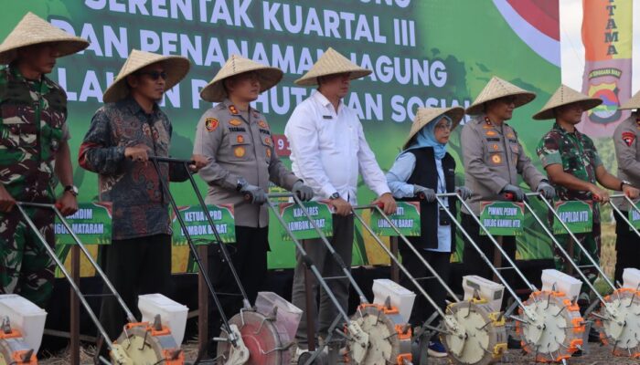 Polda NTB Tanam Jagung Serentak di Desa Babussalam, Dorong Ketahanan Pangan