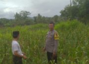 Bhabinkamtibmas Sekotong Tengah Dorong Pemanfaatan Lahan Pekarangan untuk Ketahanan Pangan