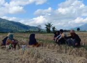 Babinkamtibmas Dorong Ketahanan Pangan di Babussalam, Lombok Barat