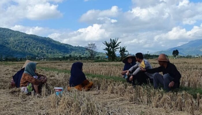 Babinkamtibmas Dorong Ketahanan Pangan di Babussalam, Lombok Barat