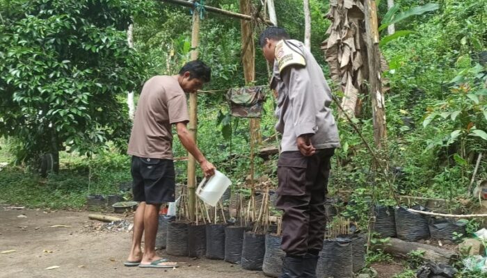 Bhabinkamtibmas Batulayar Dorong Kemandirian Pangan Lewat Pekarangan Bergizi