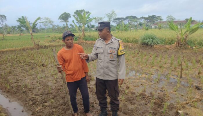 Bhabinkamtibmas Desa Montong Are Dorong Ketahanan Pangan Lokal