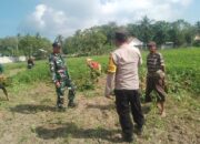 Sinergi Polisi dan Petani Gerung Dorong Kemandirian Pangan di Taman Ayu