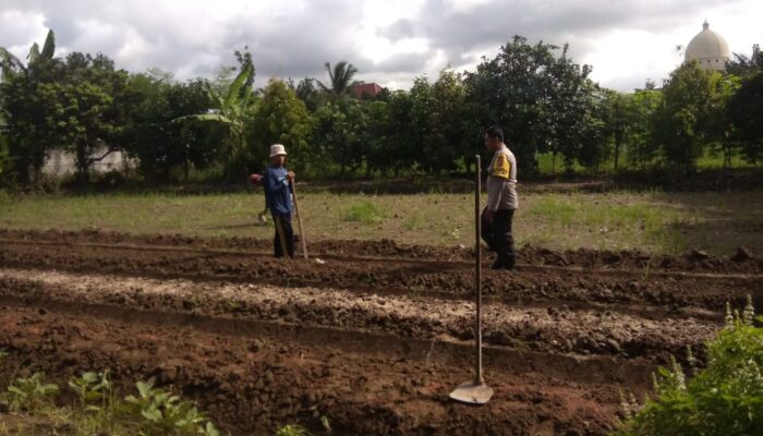 Bhabinkamtibmas Kediri Dorong Ketahanan Pangan di Plowok Selatan