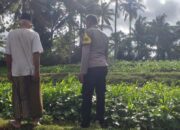 Pemanfaatan Pekarangan untuk Ketahanan Pangan di Dusun Pelan