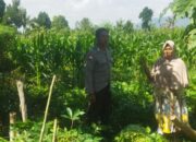 Bhabinkamtibmas Desa Kediri Dorong Ketahanan Pangan Bersama Petani Karang Kuripan