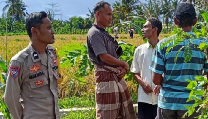Bhabinkamtibmas Desa Rumak Perkuat Sinergi Petani Dukung Ketahanan Pangan