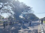 Puluhan Pelanggar Terjaring Operasi Patuh Rinjani 2025 di Baypass BIL I, Lombok Barat