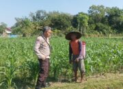 Bhabinkamtibmas Desa Sandik Ajak Warga Dusun Tato Barat Wujudkan Swasembada Pangan