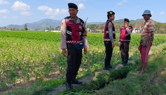 Polres Lombok Barat Pantau Ketahanan Pangan di Desa Tempos