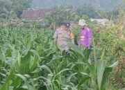 Polsek Lembar Dukung Ketahanan Pangan Lewat Pendampingan Petani di Desa Babussalam