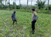 Bhabinkamtibmas Cendi Manik Dorong Ketahanan Pangan Lewat Pendekatan Humanis