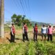 Polri Hadir Bantu Petani Jagung Wujudkan Swasembada di Lombok Barat