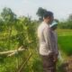 Polri Gerakkan Petani Lombok Barat Sukseskan Program Ketahanan Pangan Nasional