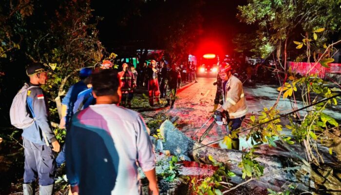 Evakuasi Pohon Tumbang di Karang Kates Berjalan Cepat
