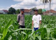 Polres Lombok Barat Dorong Kemandirian Pangan dari Pekarangan Warga Kuripan