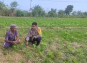 Bhabinkamtibmas Desa Kuranji Ajak Warga Manfaatkan Lahan Kosong untuk Ketahanan Pangan