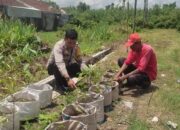 Sinergi Polsek Labuapi dan Warga Mapak Reong Dorong Pemanfaatan Pekarangan Produktif