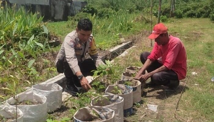 Sinergi Polsek Labuapi dan Warga Mapak Reong Dorong Pemanfaatan Pekarangan Produktif
