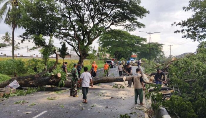 Gotong Royong TNI dan BPBD Buka Akses Jalan By Pass BIL