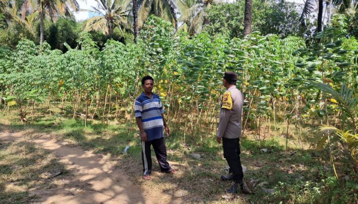 Polsek Sekotong Ajak Warga Desa Pelangan Wujudkan Pekarangan Pangan Bergizi