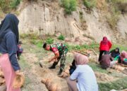 Babinsa dan Mahasiswa Undikma Sulap Halaman Desa Jadi Taman Asri