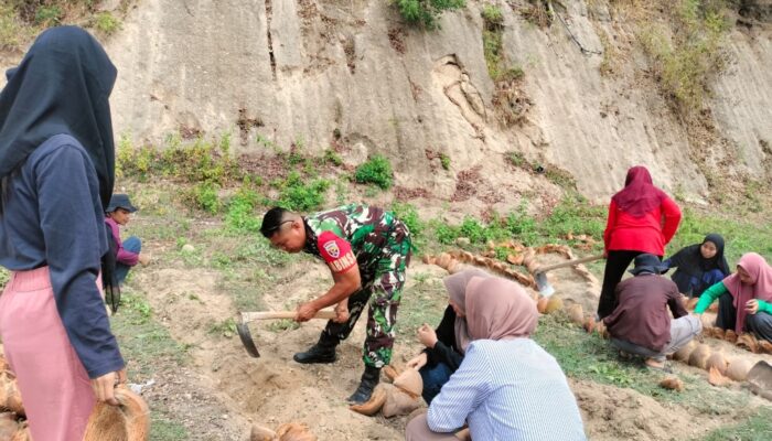 Babinsa dan Mahasiswa Undikma Sulap Halaman Desa Jadi Taman Asri