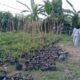Bhabinkamtibmas Meninting Dorong Optimalisasi Lahan Pekarangan Rumah