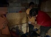 Asyik Pesta Sabu, Dua Warga Pali Diciduk Polsek Asakota dengan 31 Paket Sabu Siap Edar