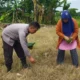 Sinergi Polsek Labuapi dan Warga Wujudkan Desa Mandiri Pangan