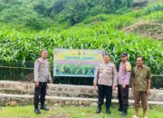 Dukung Ketahanan Pangan Nasional, Polres Bima Kota Pantau Perkembangan Tanaman Jagung Milik Warga