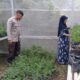 Bhabinkamtibmas Meninting Edukasi Warga Manfaatkan Lahan