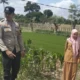 Cara Polsek Labuapi Wujudkan Kemandirian Pangan dari Pekarangan