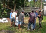 Jelang Ramadan, Babinsa Sandik Kawal Serapan Gabah Petani Batulayar