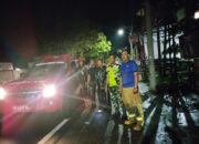 Sinergi TNI dan BPBD Tangani Pohon Tumbang